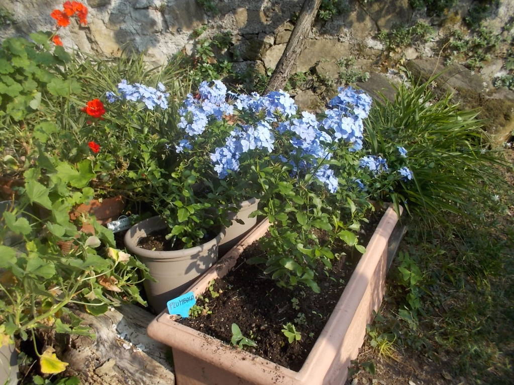 DSCN1133 (FILEminimizer)