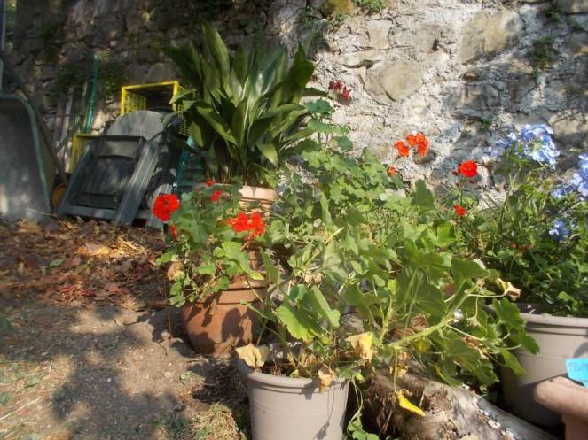 DSCN1134 (FILEminimizer)