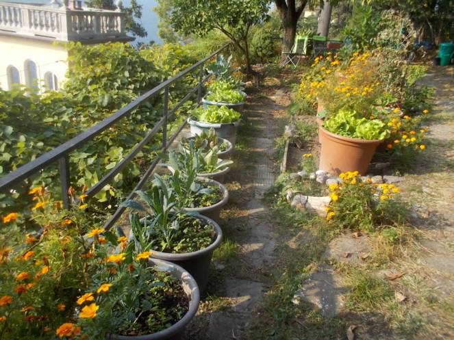 DSCN1138 (FILEminimizer)