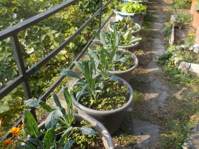 DSCN1139 (FILEminimizer)