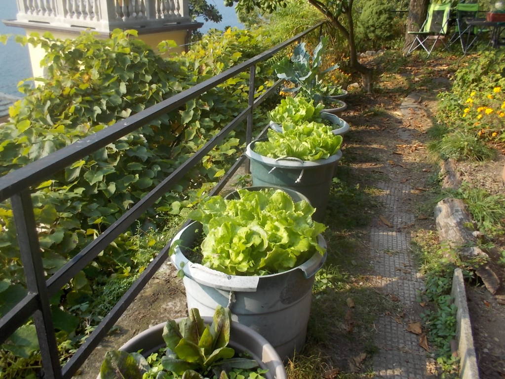 DSCN1140 (FILEminimizer)