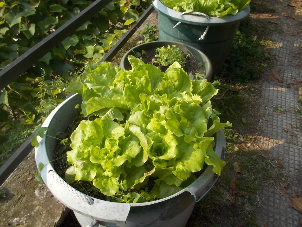 DSCN1141 (FILEminimizer)