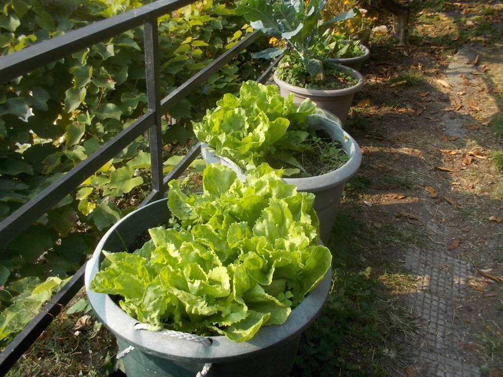 DSCN1142 (FILEminimizer)