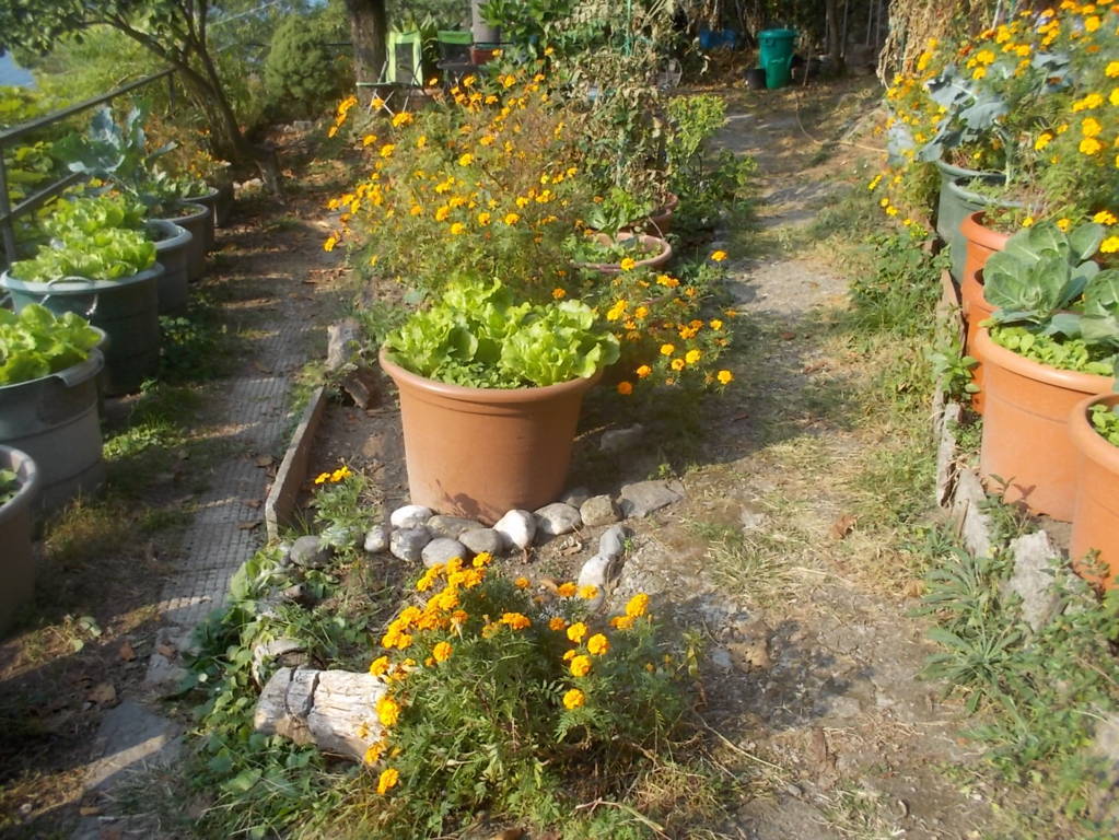 DSCN1143 (FILEminimizer)