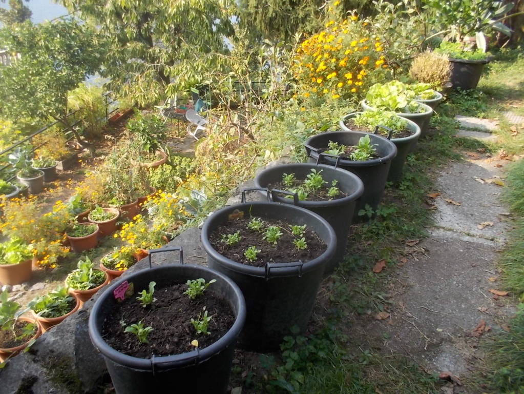 DSCN1144 (FILEminimizer)