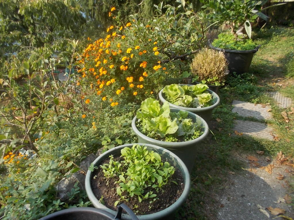 DSCN1145 (FILEminimizer)