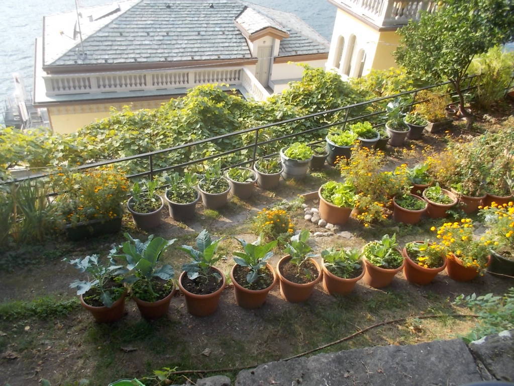 DSCN1146 (FILEminimizer)