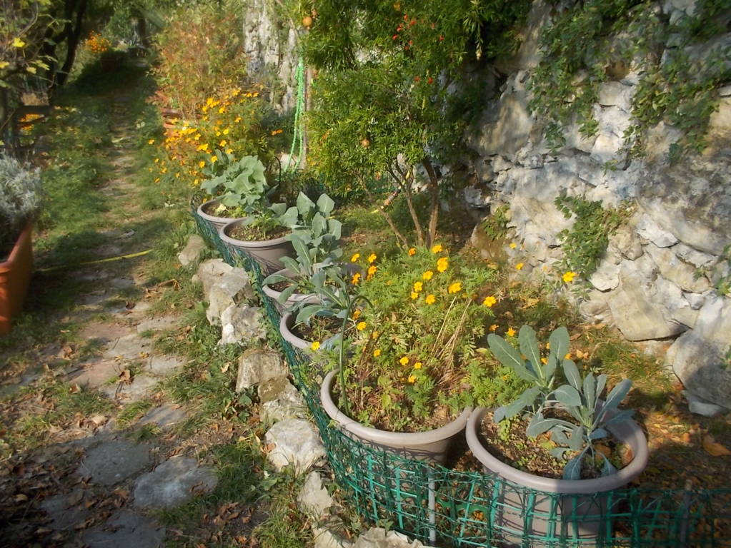 DSCN1147 (FILEminimizer)