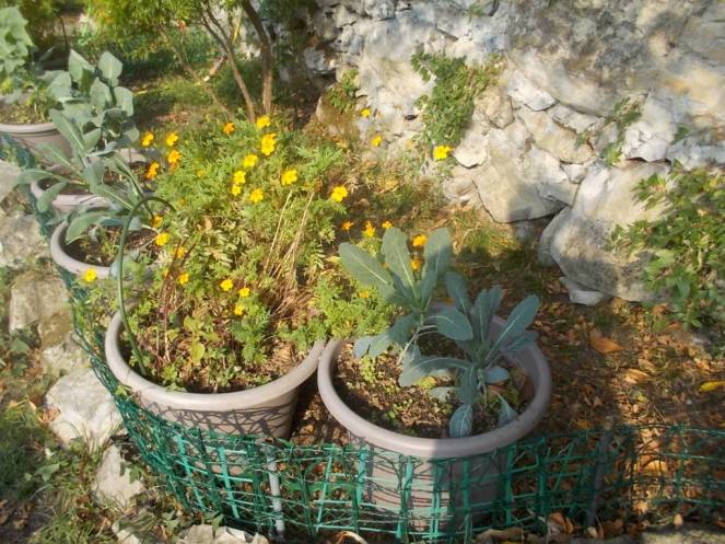 DSCN1148 (FILEminimizer)