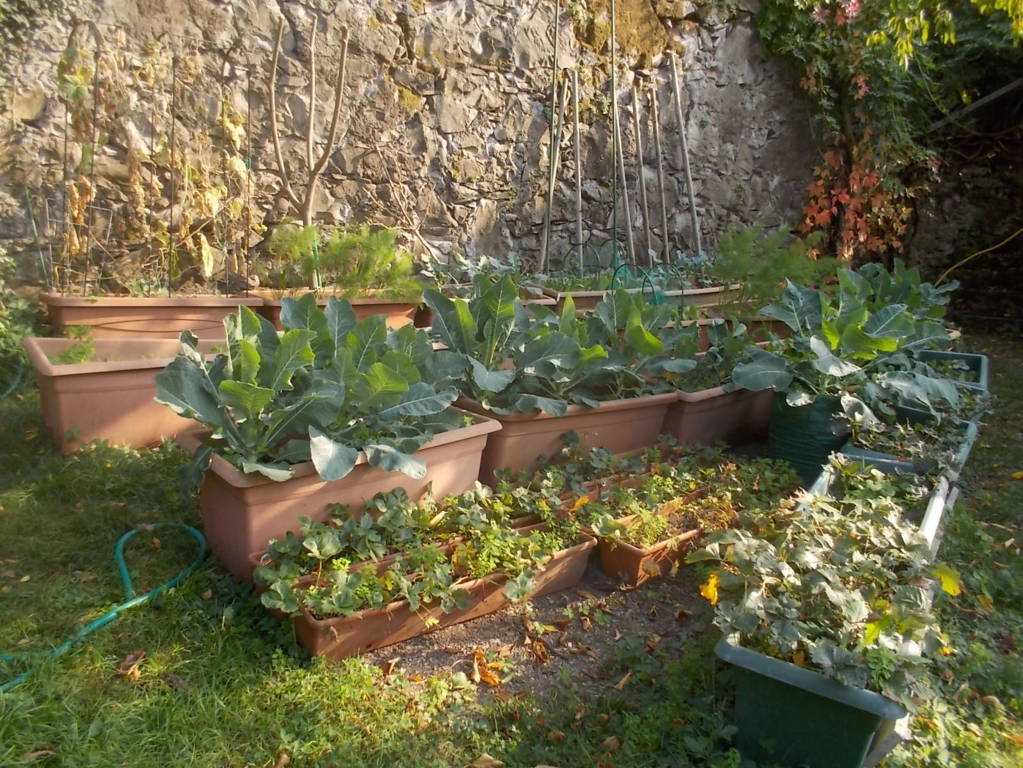 DSCN1151 (FILEminimizer)