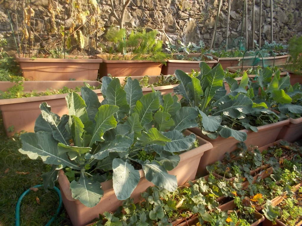 DSCN1152 (FILEminimizer)