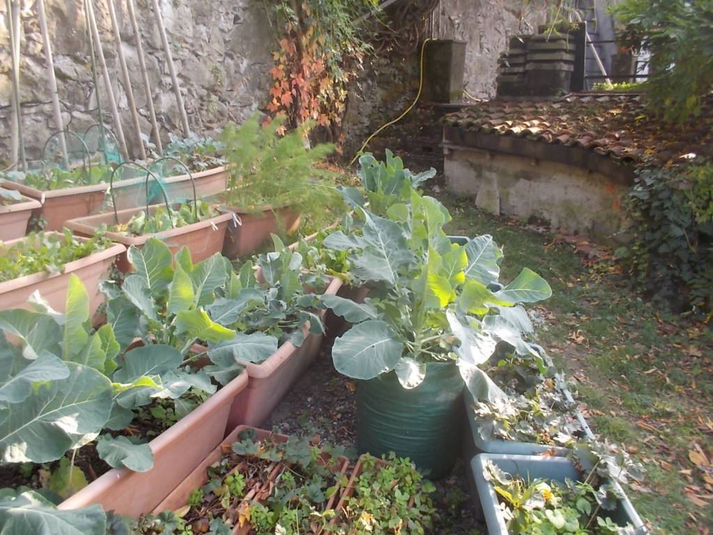 DSCN1153 (FILEminimizer)