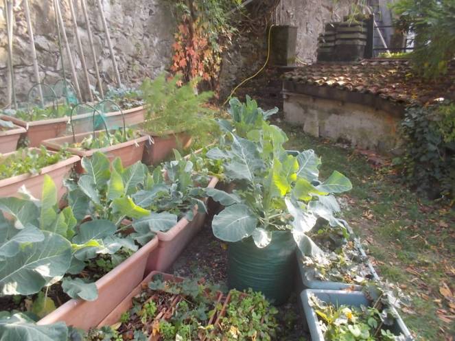 DSCN1153 (FILEminimizer)