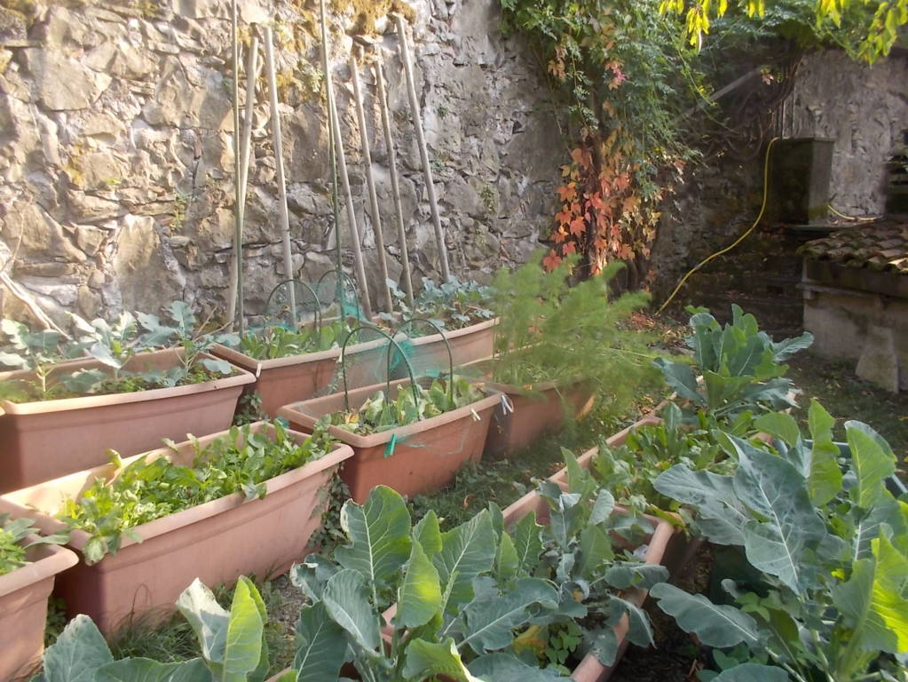 DSCN1154 (FILEminimizer)