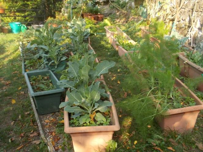 DSCN1155 (FILEminimizer)