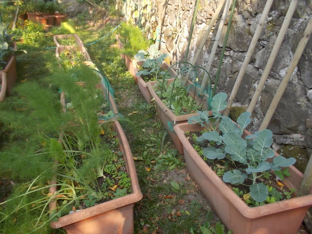 DSCN1156 (FILEminimizer)