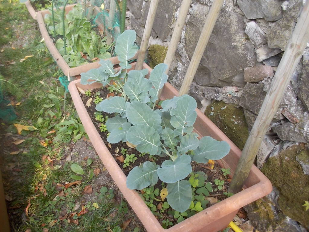 DSCN1157 (FILEminimizer)