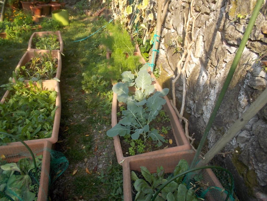 DSCN1158 (FILEminimizer)