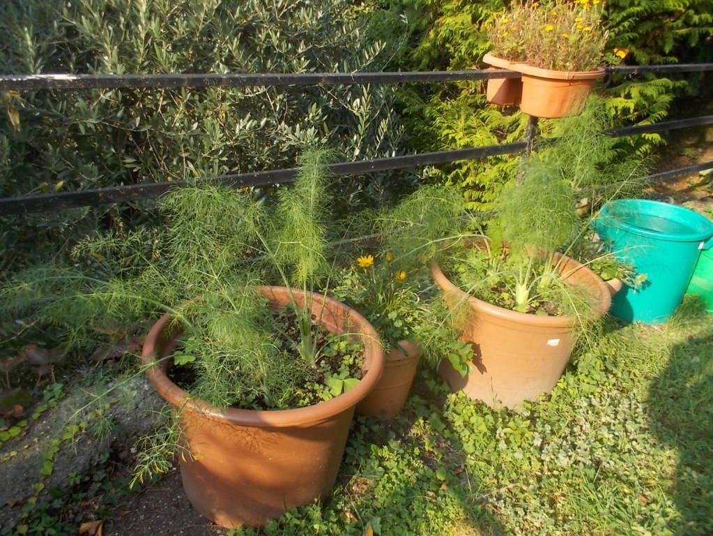 DSCN1160 (FILEminimizer)