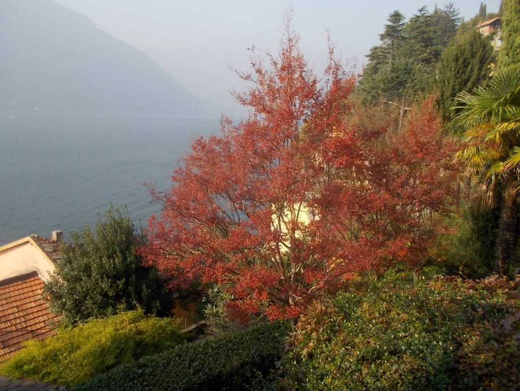 DSCN1162 (FILEminimizer)