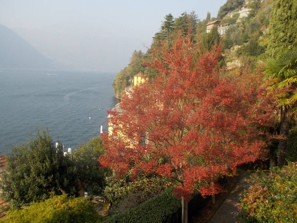 DSCN1163 (FILEminimizer)