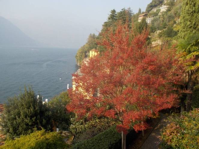 DSCN1163 (FILEminimizer)