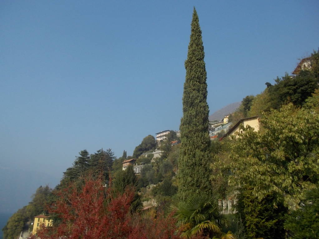 DSCN1164 (FILEminimizer)