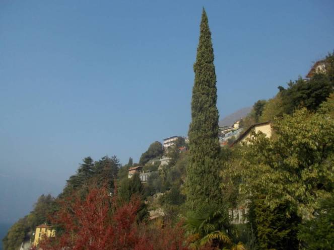 DSCN1164 (FILEminimizer)