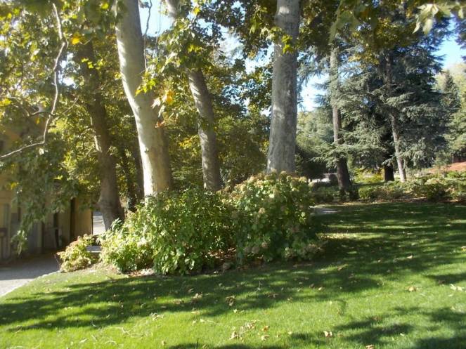 DSCN1166 (FILEminimizer)