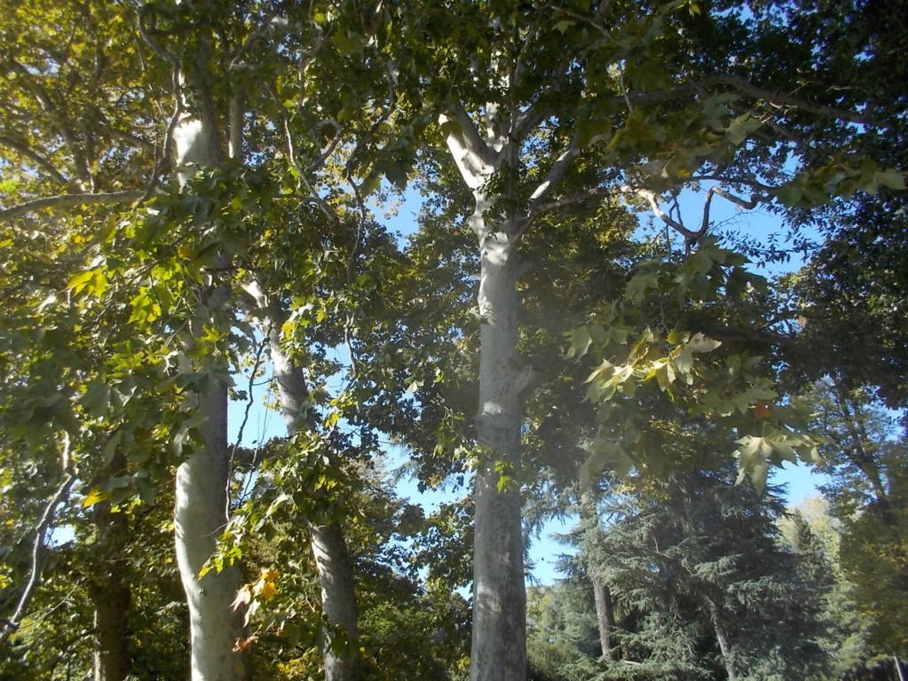 DSCN1167 (FILEminimizer)