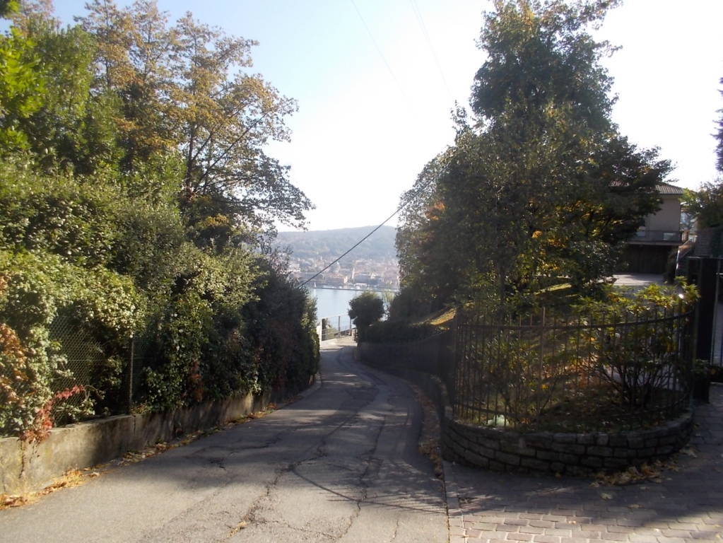 DSCN1181 (FILEminimizer)