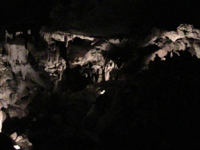 IMG_8662 (FILEminimizer)