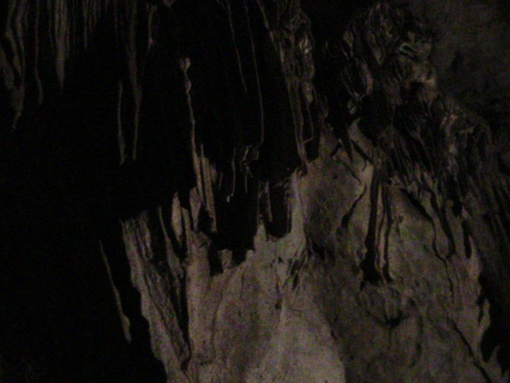 IMG_8663 (FILEminimizer)