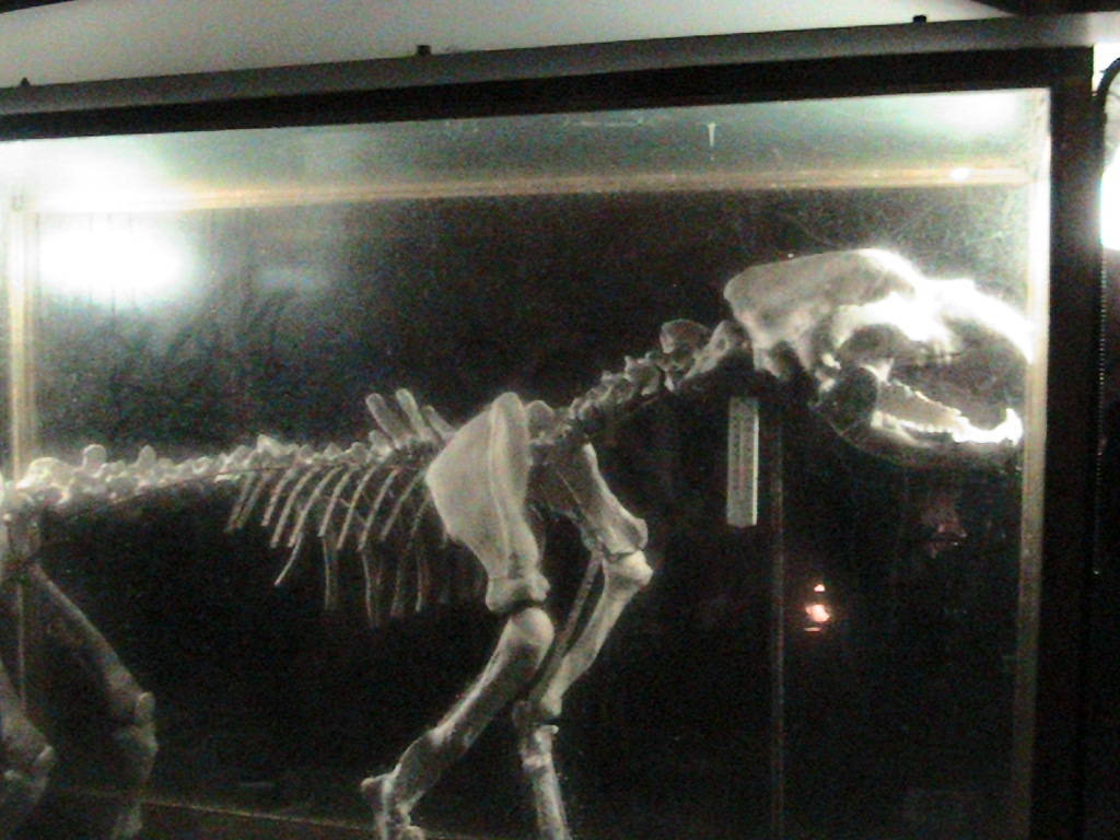 IMG_8664 (FILEminimizer)