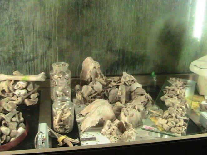 IMG_8665 (FILEminimizer)