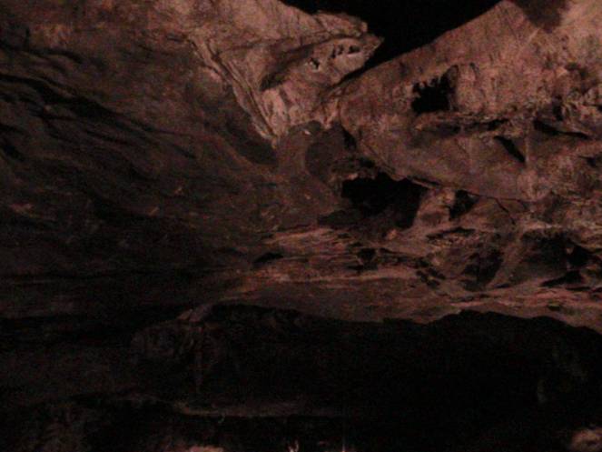 IMG_8672 (FILEminimizer)