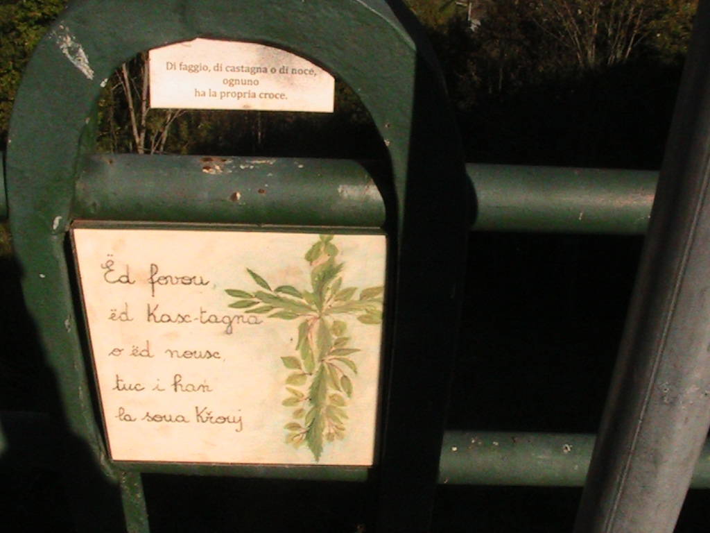 IMG_8678 (FILEminimizer)