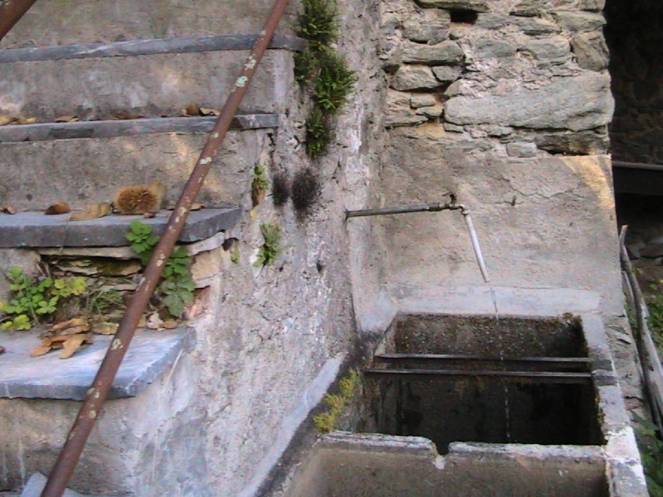 IMG_8688 (FILEminimizer)