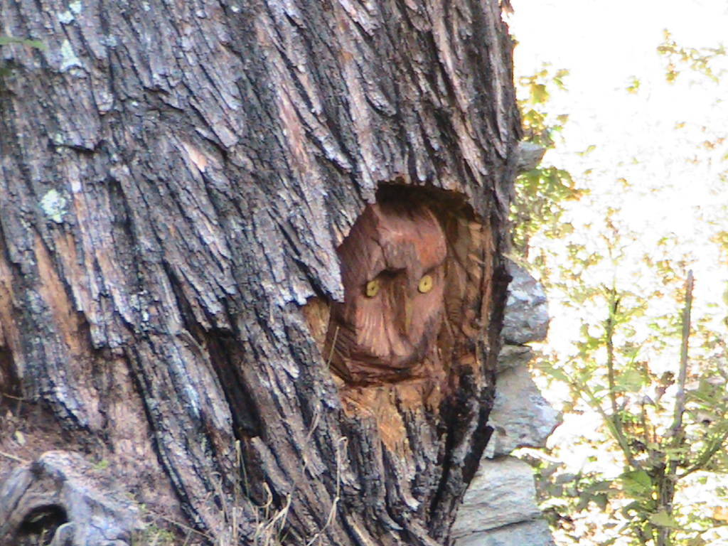 IMG_8690 (FILEminimizer)