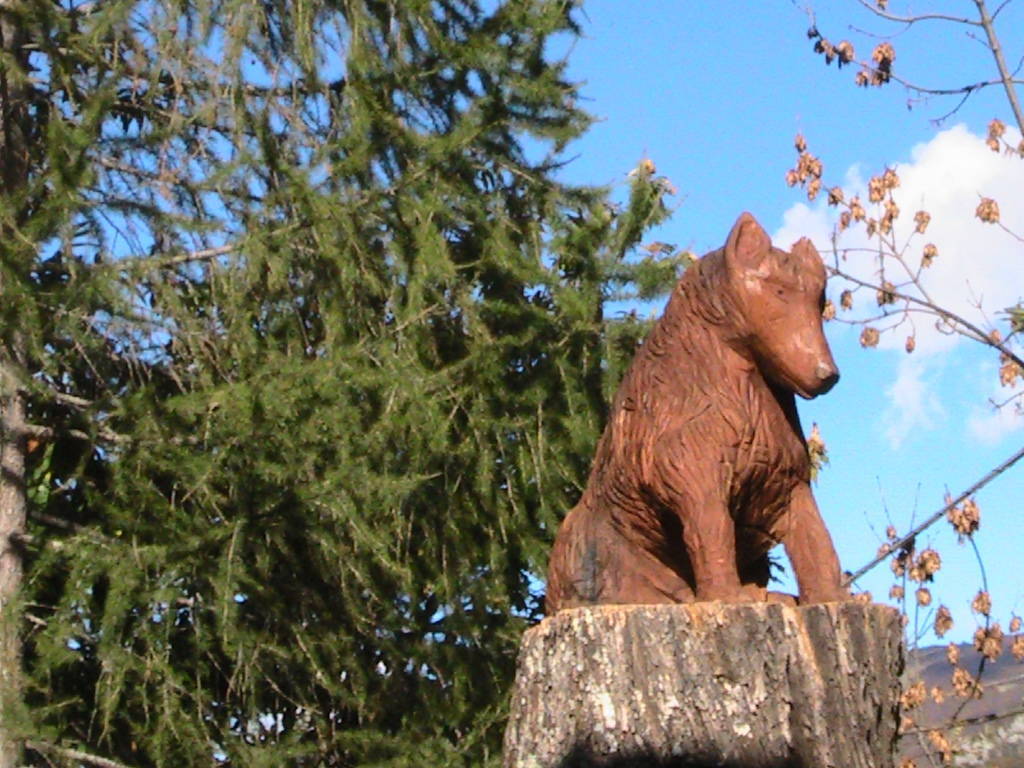 IMG_8691 (FILEminimizer)