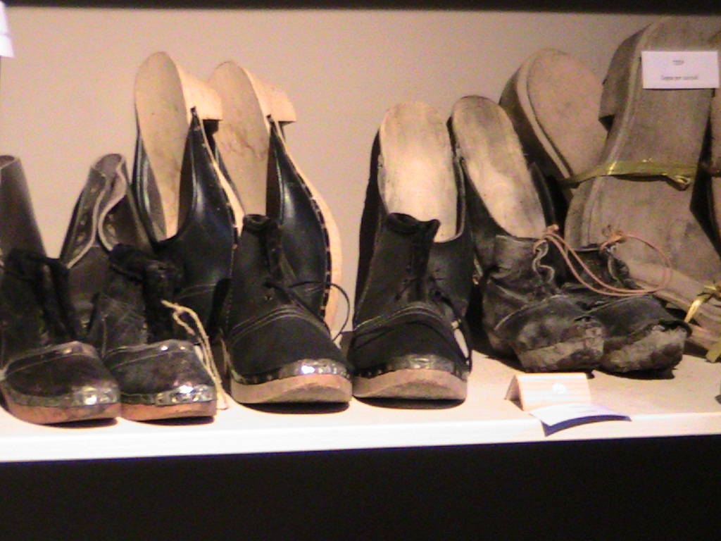 IMG_8713 (FILEminimizer)