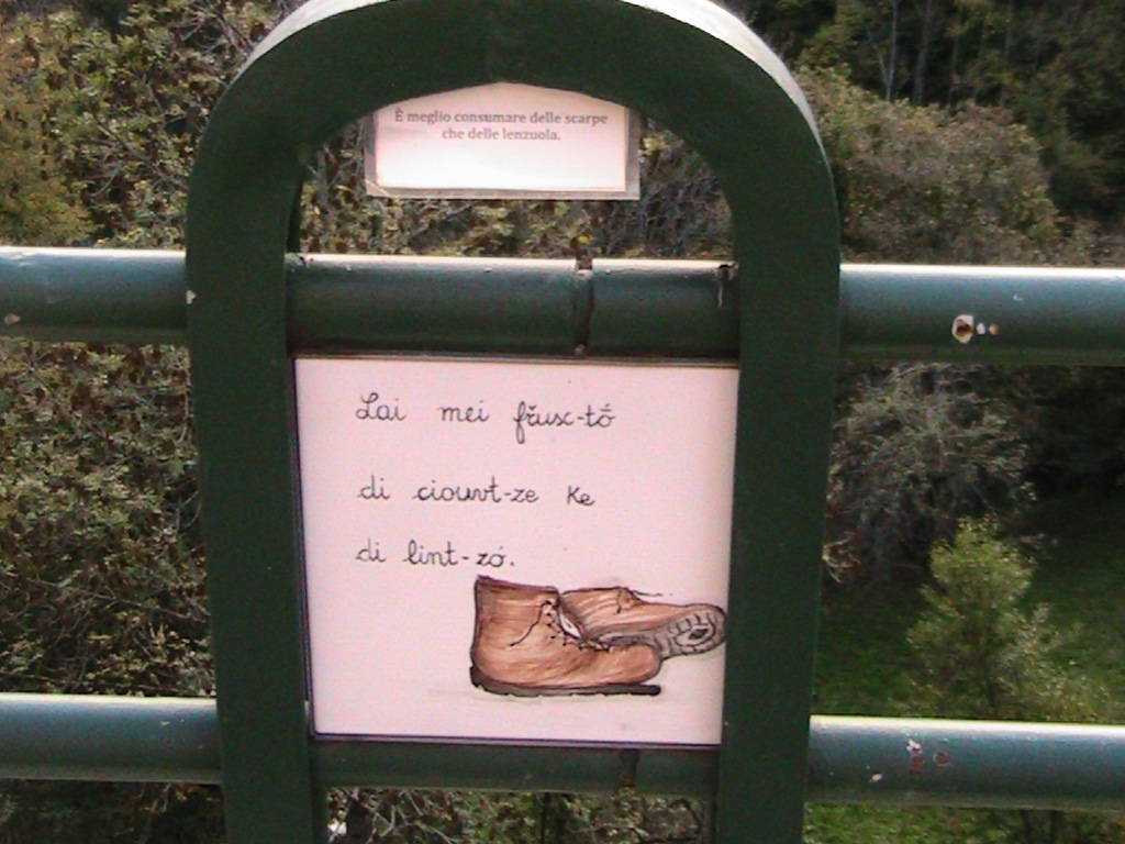 IMG_8721 (FILEminimizer)