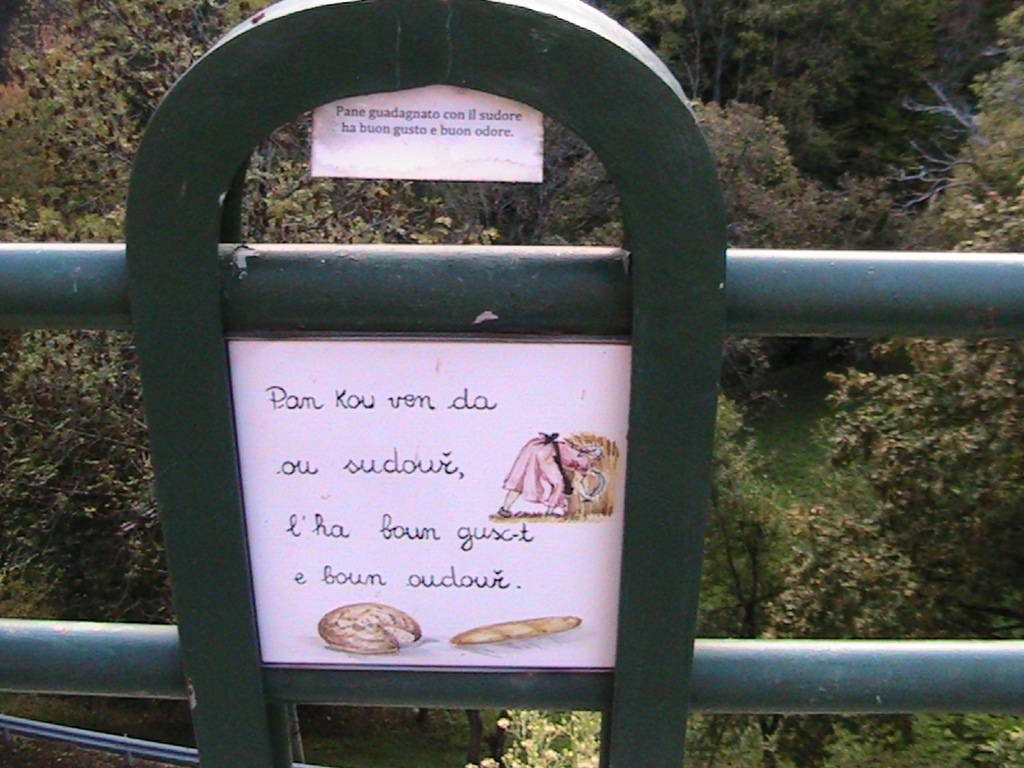 IMG_8723 (FILEminimizer)