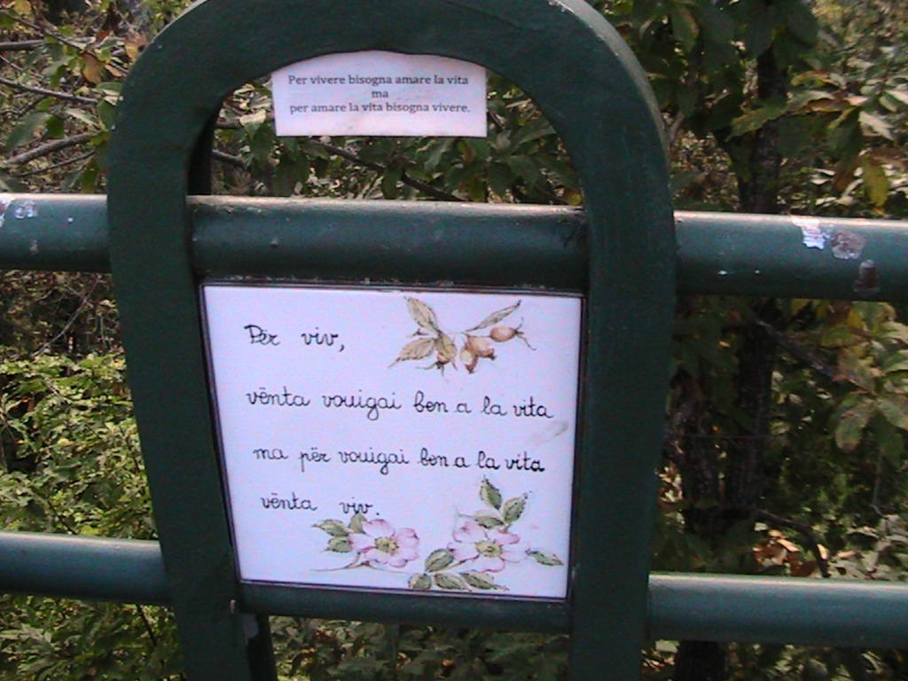 IMG_8727 (FILEminimizer)