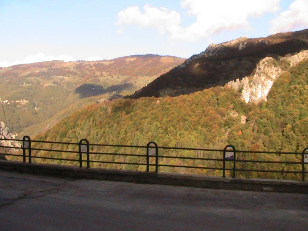 IMG_8729 (FILEminimizer)