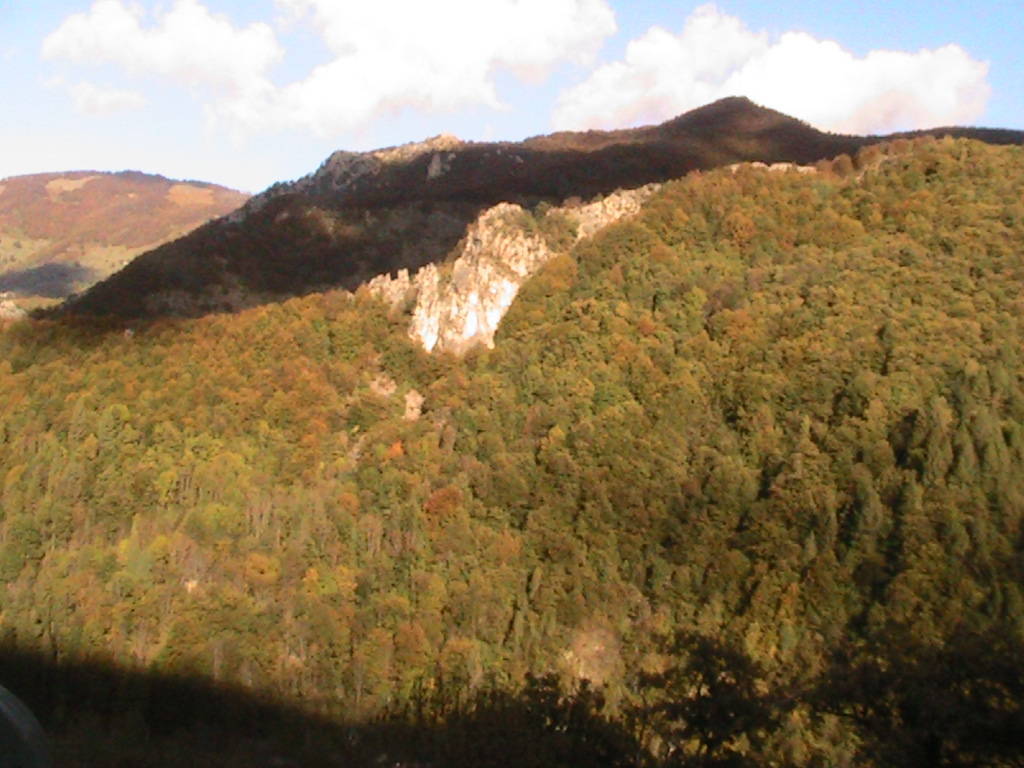 IMG_8730 (FILEminimizer)