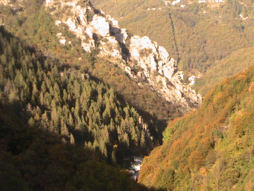 IMG_8731 (FILEminimizer)