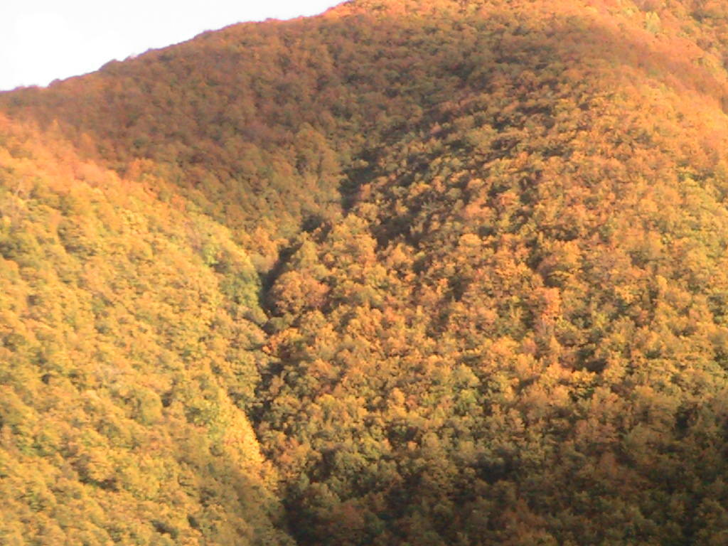 IMG_8733 (FILEminimizer)