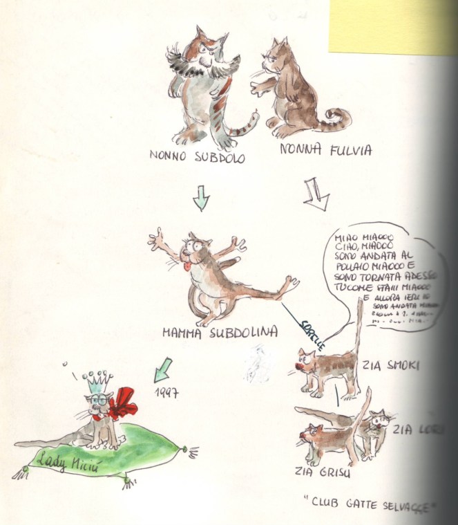 23 foto gatti insegnano