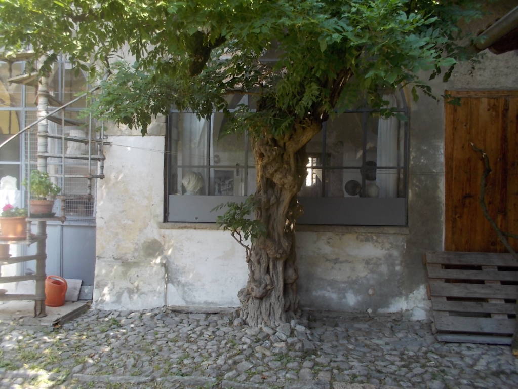 DSCN0623 (FILEminimizer)